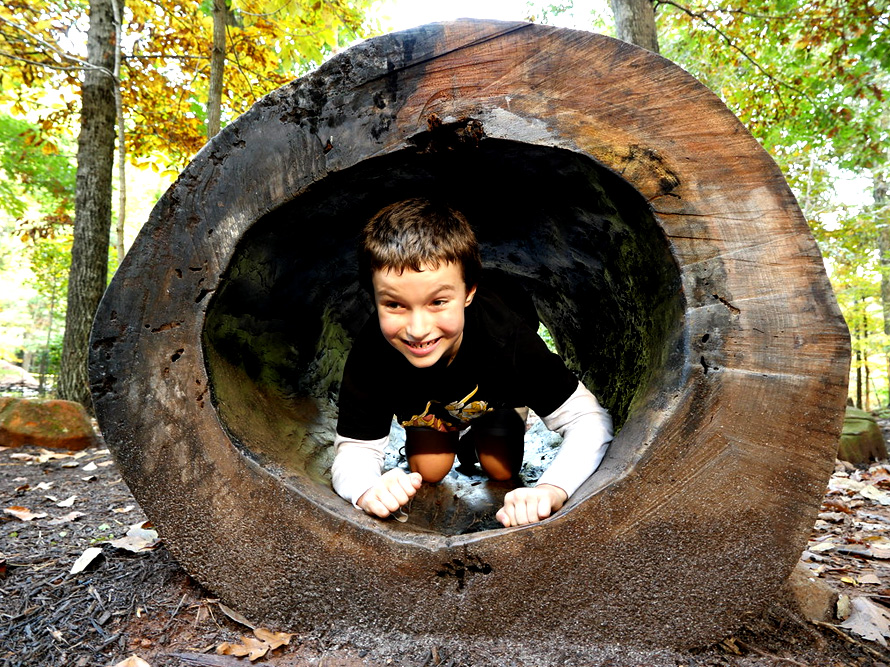 Kid inside of a log playground
