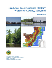 Report Cover