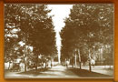 Tree-lined boulevard, 1920's