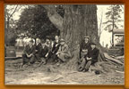Photo of early Forestry Board Meeting - members are sitting beneath a large tree