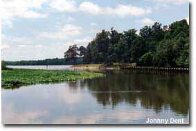 Escape to Tranquility: Maryland's Martinak State Park