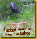 Statue of Blue Heron reads: Tucked Away on the Tuckahoe