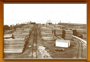 Weyerhaerser Lumber Co. at Curtis Bay, vessel unloading and storage yards, Photo by Fred W. Besley, 1926