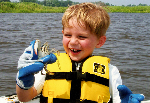 A boy on a boat holding a blue crab and smiling.