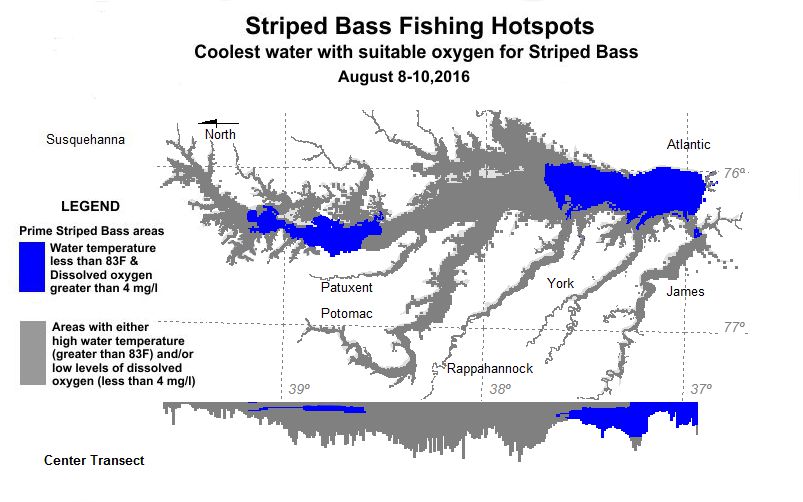 Striped Bass August 17 Hotspots Map