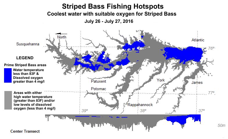 Striped Bass July Hotspots Map