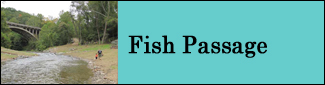 Fish Passage Program