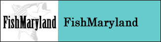 Fish Maryland