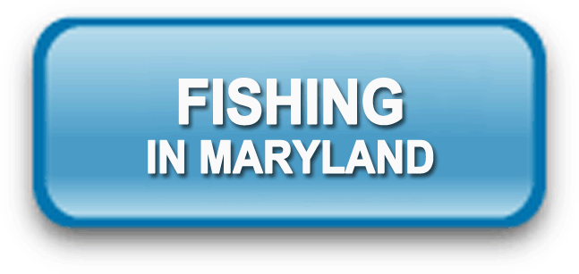 Fishing in Maryland