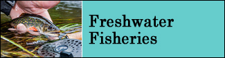 Freshwater Fisheries  Program