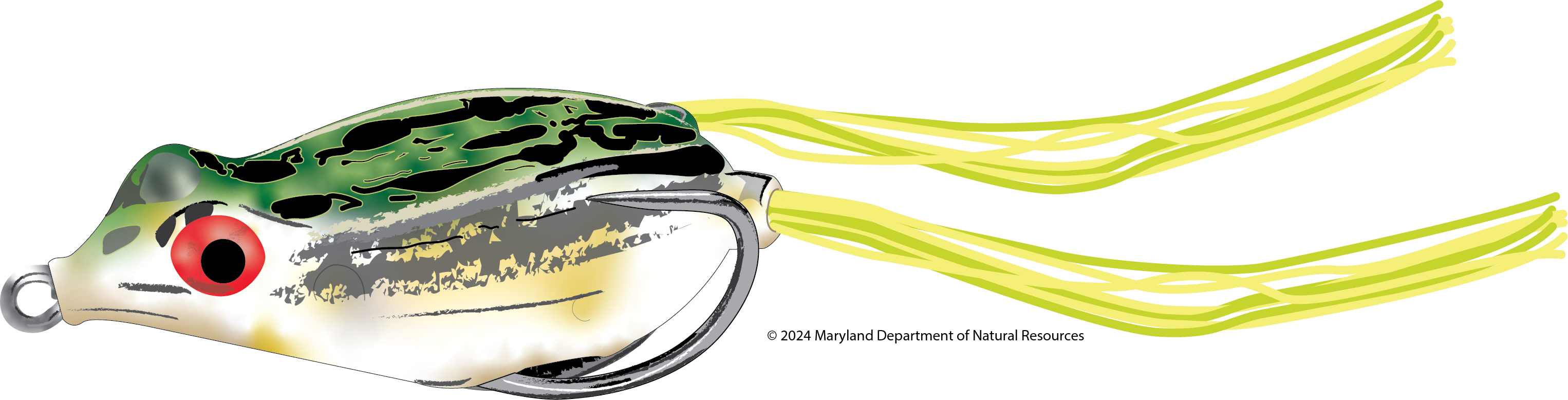 Topwater Frog
