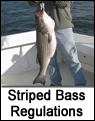 Striped Bass Regulations Map