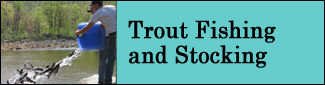 Trout Fishing and Stocking