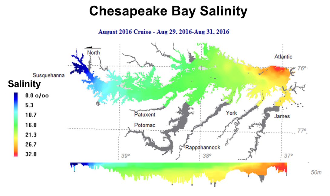 August Salinites-2016 Graph