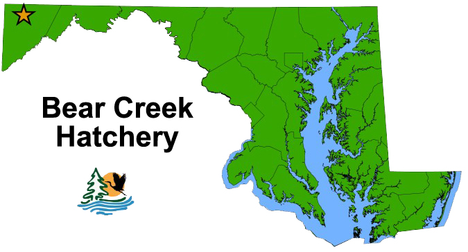 Bear Creek Map