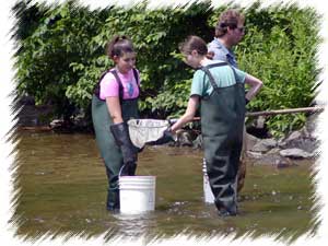 030404camp.jpg