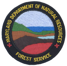 Contemporary left and right shoulder emblem of the Forest Service - worn by foresters & rangers involved in cooperative forestry (1991 - present)