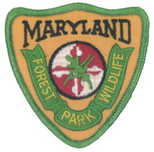 Hat patch, contemporary with left shoulder emblems of the Forest, Park & Wildlife Service (1984-1991)