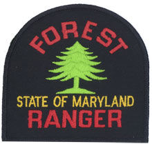 Contemporary left and right shoulder emblem of the Forest Service (1991 - present)