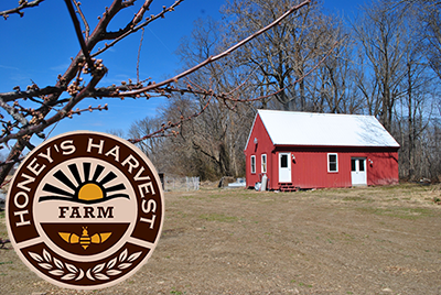 Honey's Harvest Farm