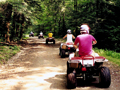 People riding off-road vehicles on a trail.