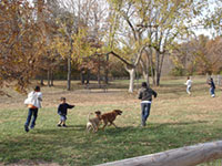 Dog Parks/ Leash-Free Areas, Columbia, MO-  Columbia, Missouri 