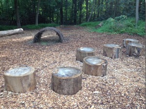 Willow tunnel and stump jump