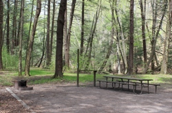 A campsite at Big Run State Park