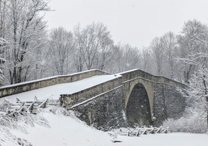 Casselman.Snow.JPG