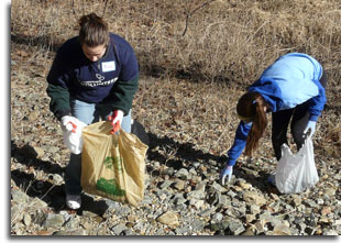 Volunteers pick up litter at Elk Neck State Park.