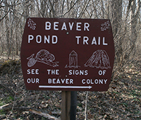 Beaver Pond Trail sign