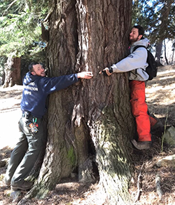 MCC Crew Members Hugging a Tree