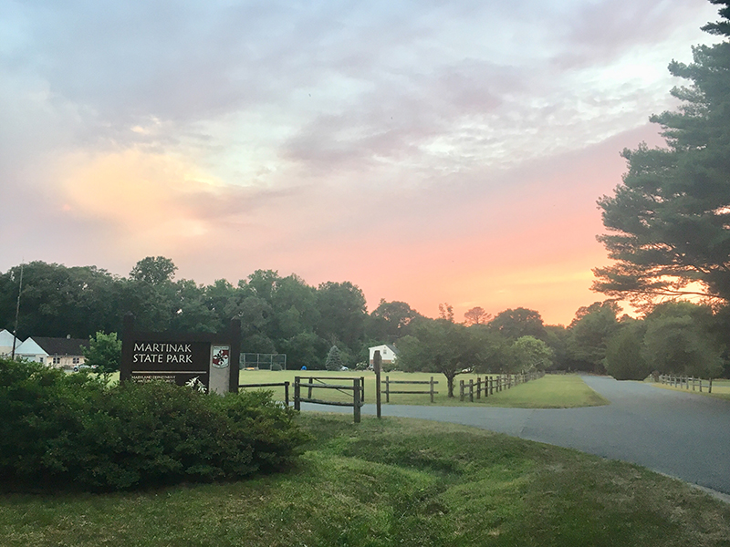 Martinak State Park entrance sign at sunset with a beautiful colored sky.