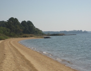 beach at Newtowne Neck State Park