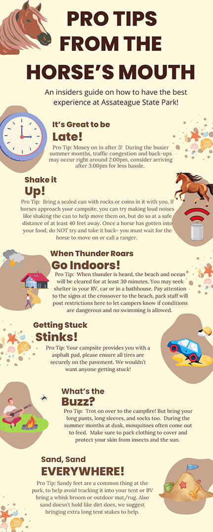 tips for camping graphic