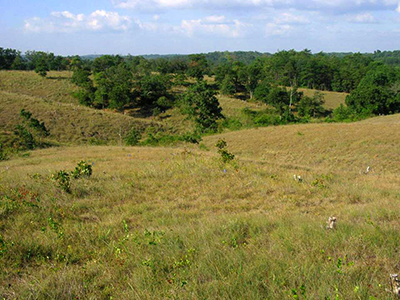 Soldiers Delight site photo by Wayne Tyndall