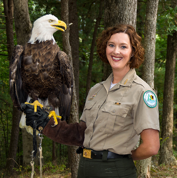 A park ranger standing outside in the summer holding a large bald eagle on her arm.