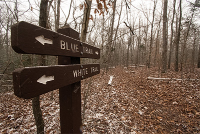 Trail sign pointing to blue and white trail on a snowy day.