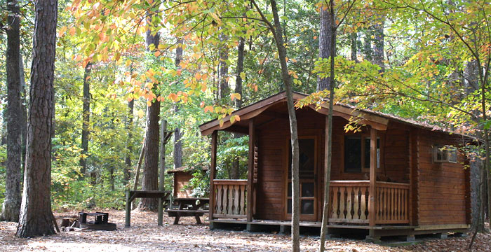 Mini cabin with porch in the fall