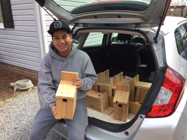 A man sitting in the back of a car full of wood duck boxes and holding one in his hand.