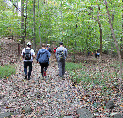 A group of people hiking in the woods in the fall.