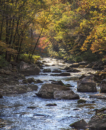 Fall on the Savage River by Steve Kling