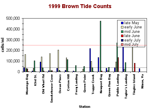A bar graph showing brown tide counts in 1999 from late May to mid July.