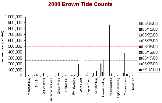 A bar graph showing brown tide counts in 2000 from May 8th to July 10th.