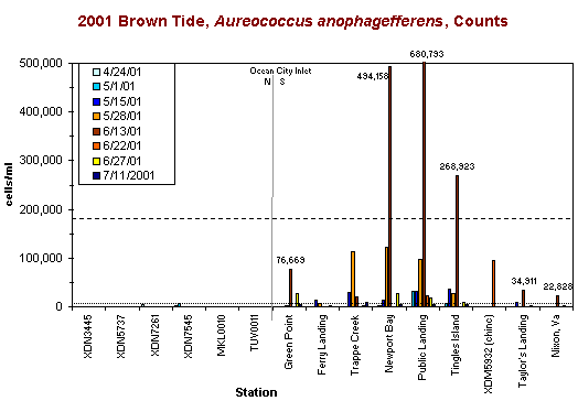 Brown Tide Distribution 2001