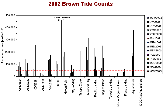 2002 Brown Tide Distribution