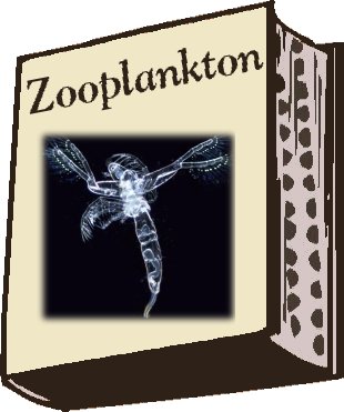 Illustration of Zooplanton book