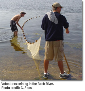 Volunteers seining in the Bush River. Photo credit: C. Snow