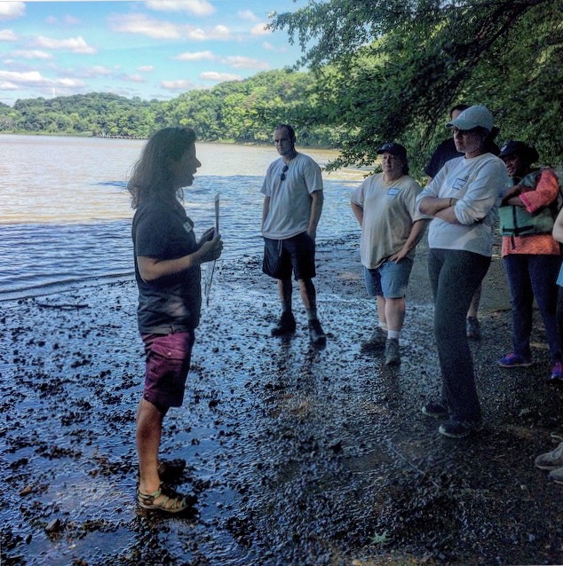 Teachers learn to profile a beach to understand elevation and sea level rise.