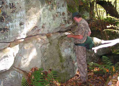Wehrle's Salamander Habitat photo courtesy of Scott A. Smith
